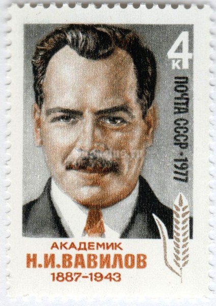 марка СССР 4 копейки "Н.И. Вавилов" 1977 год