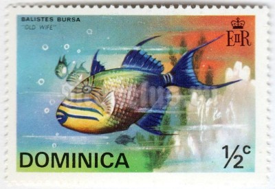 марка Доминика 1/2 цента "Boomerang Triggerfish (Balistes bursa)" 1975 год
