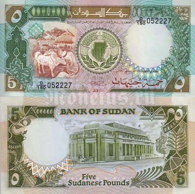 банкнота Судан 5 фунтов 1990 год