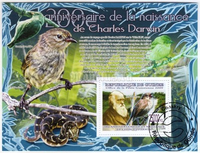 Блок Гвинея ( наука ) Чарльз Дарвин, Животные