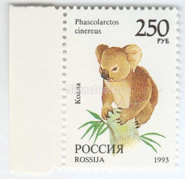 марка Россия 250 рублей "Коала" 1993 год
