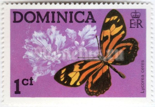 марка Доминика 1 цент "Tropical Milkweed Butterfly (Lycorea ceres)" 1975 год