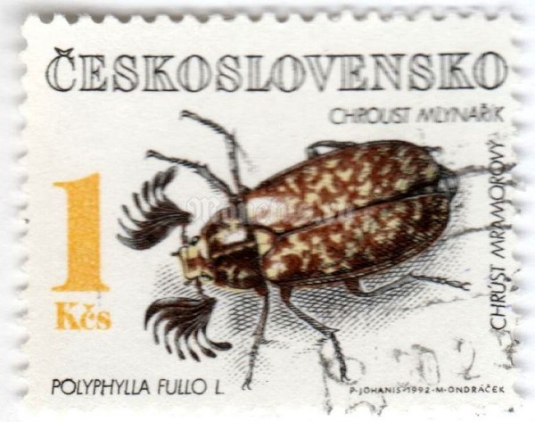 марка Чехословакия 1 крона "Pine Chafer (Polyphylla fullo)" 1992 год Гашение