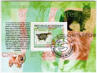 Блок Гвинея ( фауна ) Кошки и Собака