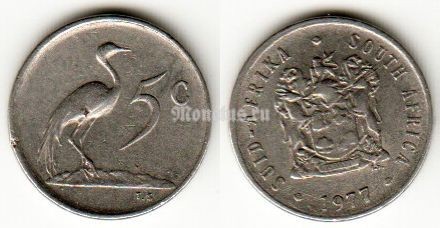 монета Южная Африка 5 центов 1977 год