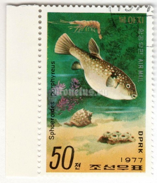 марка Северная Корея 50 чон "Puffer Fish (Sphoeroides porphyreus)" 1977 год Гашение
