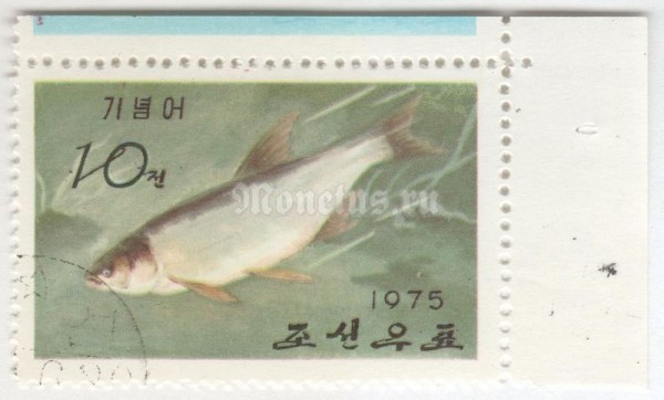 марка Северная Корея 10 чон "Whitefish (Coregonus sp)" 1975 год Гашение