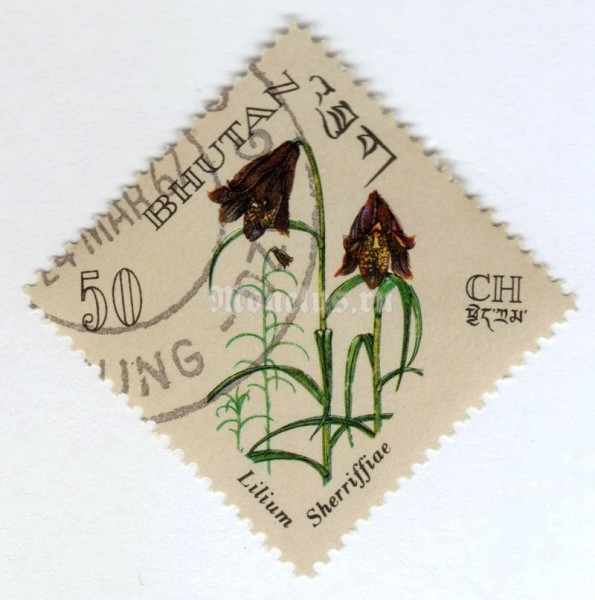 марка Бутан 50 чертум "Lilium sherriffiae" 1967 год Гашение