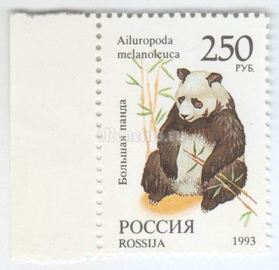 марка Россия 250 рублей "Большая панда" 1993 год