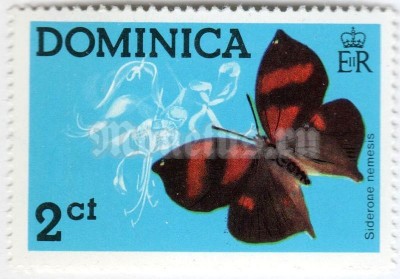 марка Доминика 2 цента "Scarlet Leafwing (Siderone nemesis)" 1975 год