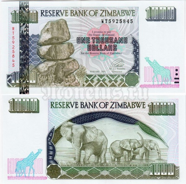 Банкнота Зимбабве 1000 долларов 2003 год