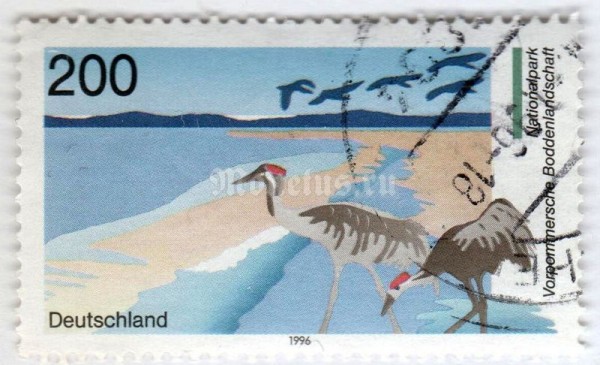 марка ФРГ 200 пфенниг "Western Pomerania Lagoon Area National Park-Common Crane" 1996 год Гашение