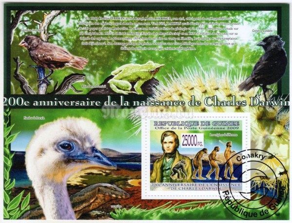 Блок Гвинея ( наука ) Чарльз Дарвин, Птицы, Лягушка