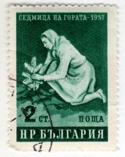 марка Болгария 2 стотинки "Woman Planting Tree" 1957 год Гашение