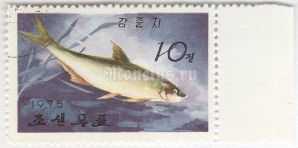 марка Северная Корея 10 чон "Elongate Ilisha (Ilisha elongata)" 1975 год Гашение