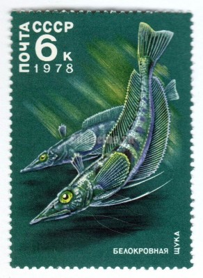 марка СССР 6 копеек "Белокровная щука" 1978 года