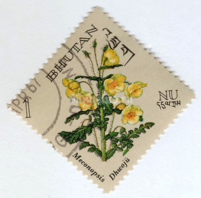 марка Бутан 1 нгултрум "Meconopsis dhwoju" 1967 год Гашение