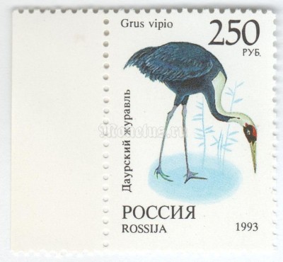 марка Россия 250 рублей "Даурский журавль" 1993 год