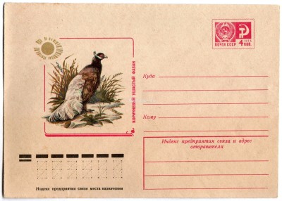 ХМК СССР 77-177 Коричневый ушастый фазан птица фауна 1977 год, Коновалов 11975