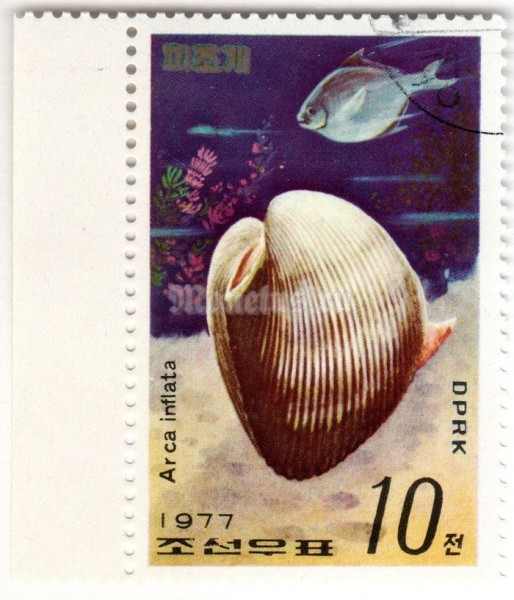 марка Северная Корея 10 чон "Arkshell (Arca inflata)" 1977 год Гашение