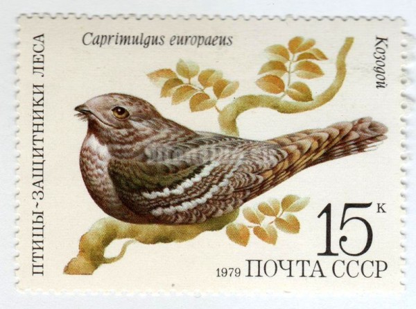 марка СССР 15 копеек "Козодой" 1979 год