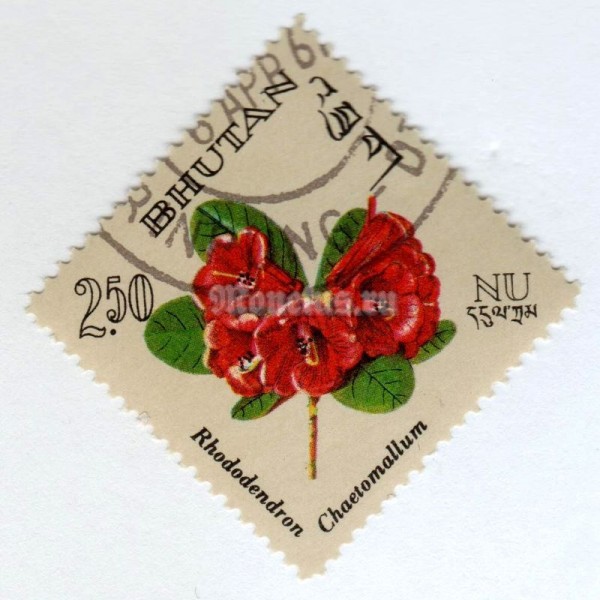 марка Бутан 2,50 нгултрум "Rhododendron chaetomallum" 1967 год Гашение