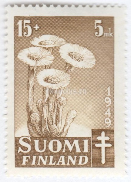 марка Финляндия 15+5 марок "Coltsfoot (Tussilago farfara)" 1949 год