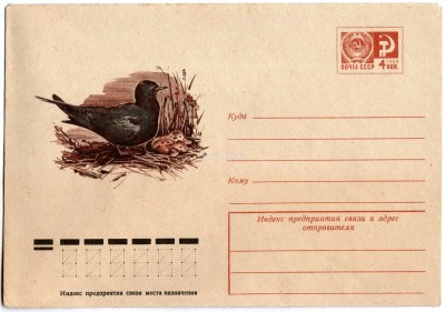 ХМК СССР 76-106 Черная крачка птица фауна 1976 год, Бейлин 11133