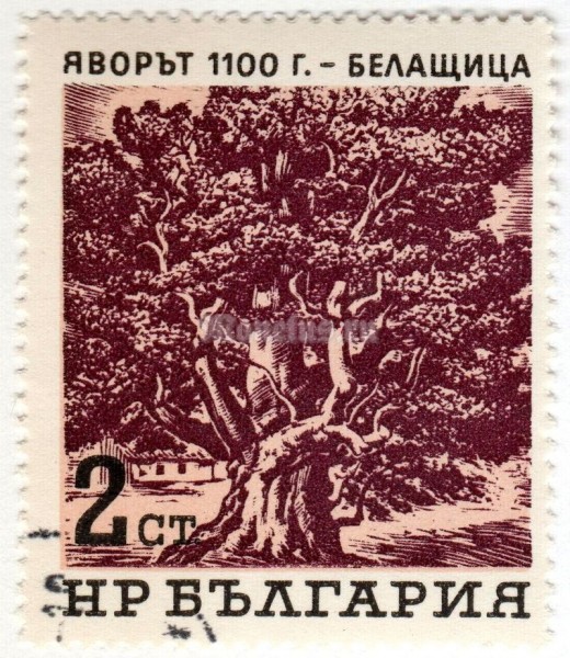 марка Болгария 2 стотинки "Plane (1100 Yrs.)" 1964 год Гашение