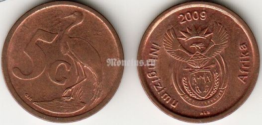 Монета Южная Африка 5 центов 2009 год