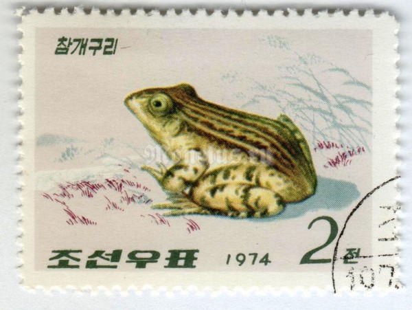 марка Северная Корея 2 чона "Black-spotted Frog (Rana nigromaculata)" 1974 год Гашение