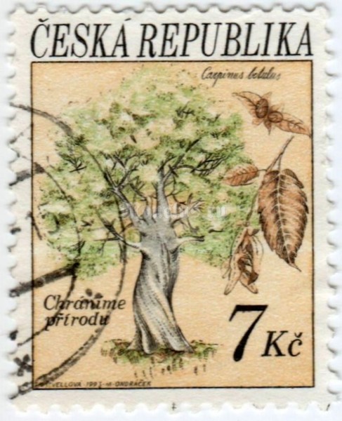 марка Чехия 7 крон "Trees: Hornbeam (Carpinus betulus)" 1993 год гашение