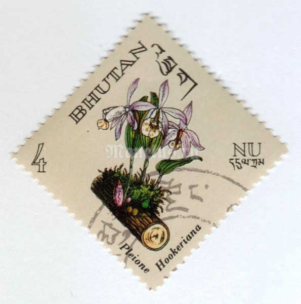 марка Бутан 4 нгултрум "Pleione hookeriana" 1967 год Гашение