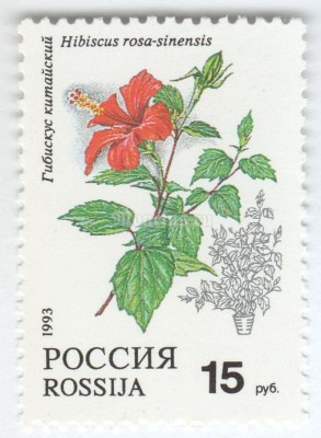 марка Россия 15 рублей "Гибискус китайский" 1993 год