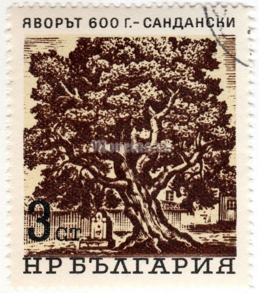 марка Болгария 3 стотинки "Plane (600 Yrs.)" 1964 год Гашение