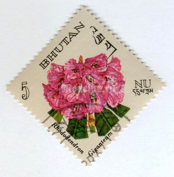 марка Бутан 5 нгултрум "Rhododendron giganteum" 1967 год Гашение