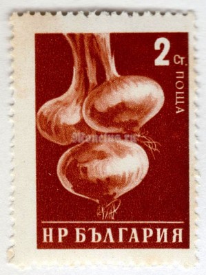 марка Болгария 2 стотинки "Onions" 1958 год Гашение