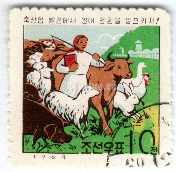 марка Северная Корея 10 чон "Shepherd girl" 1964 год Гашение