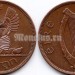 монета Ирландия 1 пенни 1964 год Глухарь