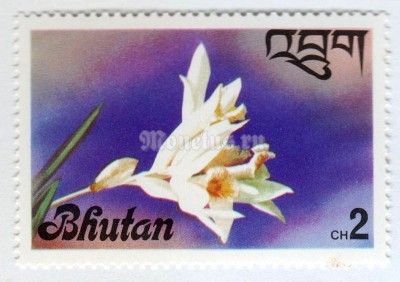 марка Бутан 2 чертум "Thunia alba" 1976 год