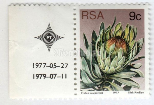 марка Южная Африка 9 центов "Silver sugarbush (Protea roupelliae)" 1977 год