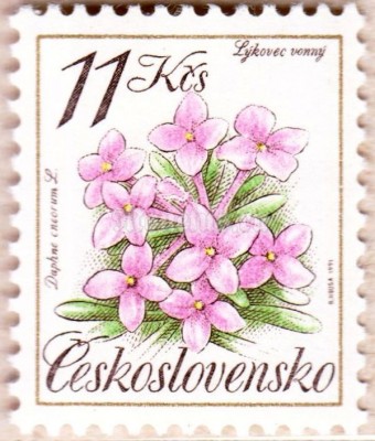 марка Чехословакия 11 крон "Дафна cneorum" 1991 год