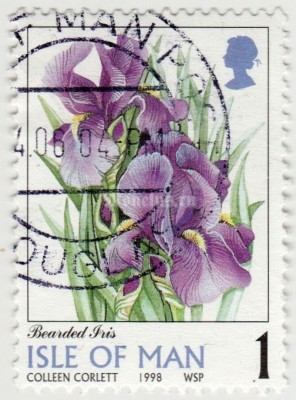 марка Остров Мэн 1 пенни "Bearded Iris" 1998  год гашение