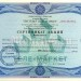 Россия Сертификат акций АО Телемаркет-инвест 1994 год. Второй выпуск