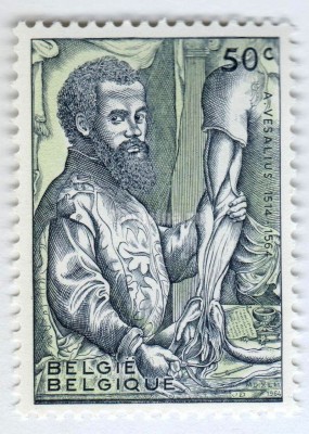 марка Бельгия 50 сентим "André Vésal" 1969 год