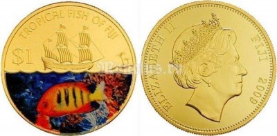монета Фиджи 1 доллар 2009 год Серия Тропические рыбы Фиджи - Огненный ангел/Flame Angelfish