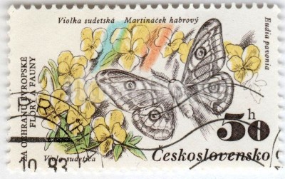 марка Чехословакия 50 геллер "Mountain Pansy (Viola sudetica), Emperor Moth (Saturnia pavo) 1983 год Гашение