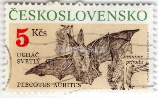 марка Чехословакия 5 крон "Brown Long-eared Bat (Plecotus auritus)" 1990 год Гашение