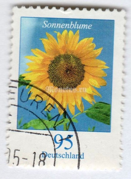 марка ФРГ 95 центов "Harpalium Cass. - Sunflower" 2005 год Гашение