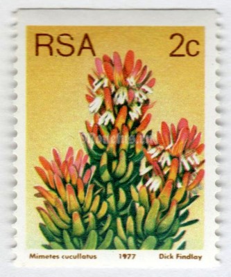 марка Южная Африка 2 цента "Mimetes cucullatus" 1977 год